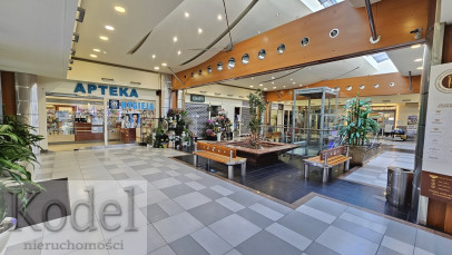 Lokal Wynajem Kraków Dębniki Raciborska