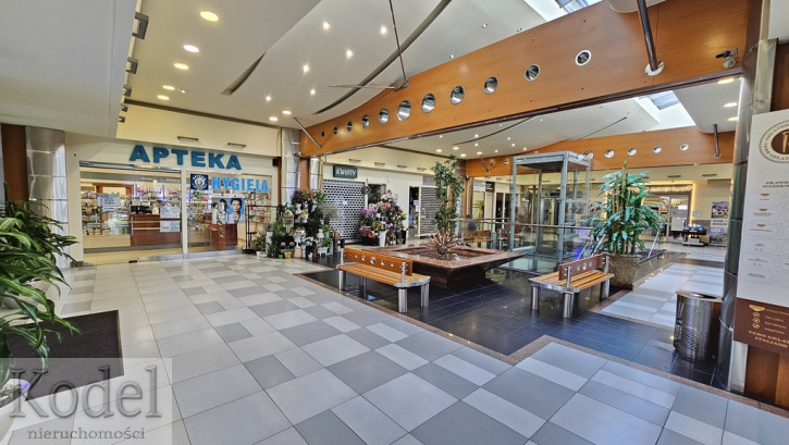 Lokal Wynajem Kraków Dębniki Raciborska 18
